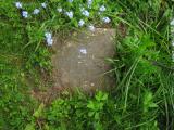 image of grave number 225741